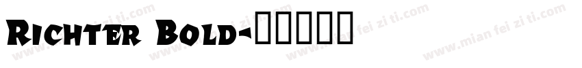 Richter Bold字体转换